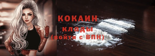 гидра Верхний Тагил