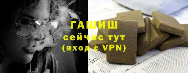 гидра Верхний Тагил