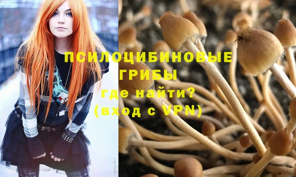 СК Верея