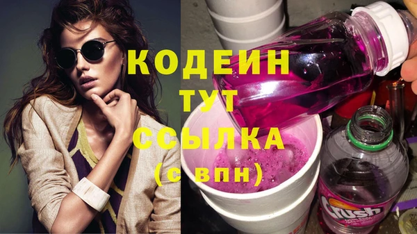гидра Верхний Тагил