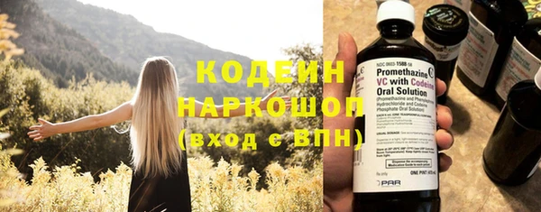 гидра Верхний Тагил