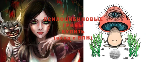 СК Верея