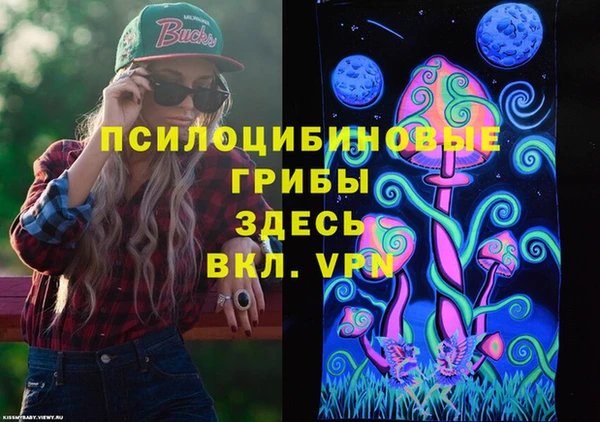 СК Верея