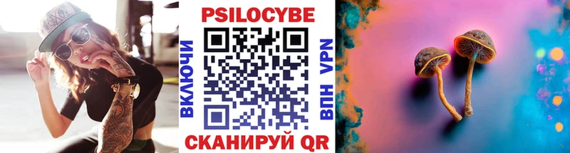 продажа наркотиков  Курган  блэк спрут зеркало  Псилоцибиновые грибы Cubensis 